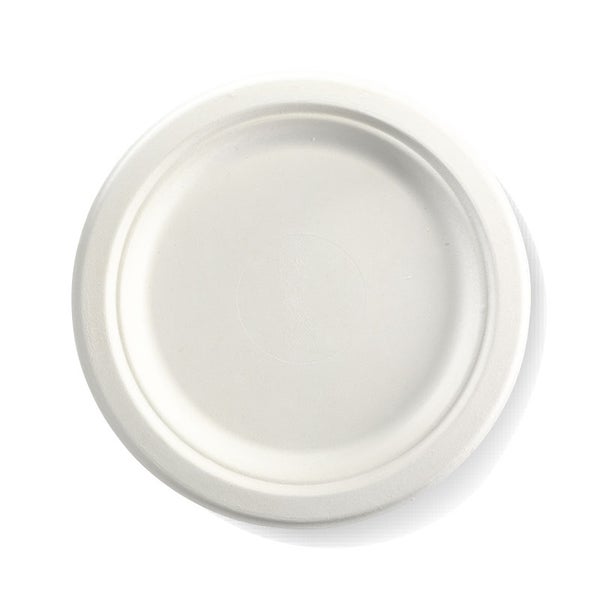 23cm / 9" Plate (125)
