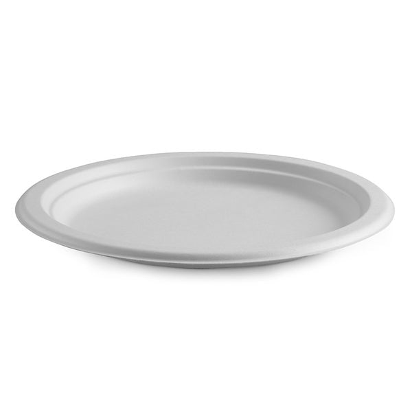 25cm / 10" Plate (125)