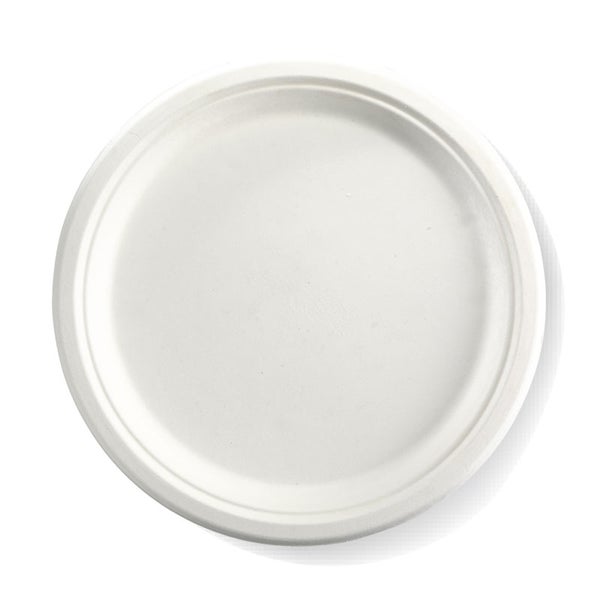 25cm / 10" Plate (125)