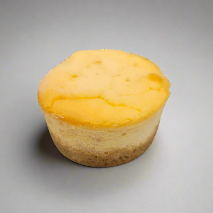 Small round cheese cake on a gray background