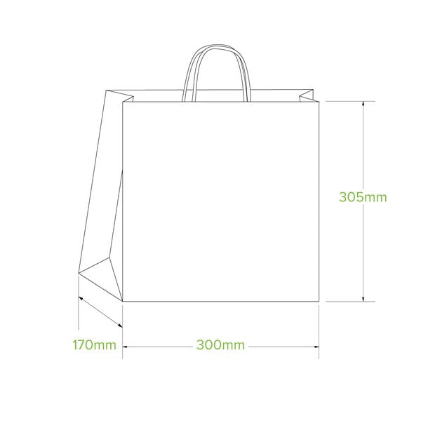 Carry Bags Paper Twist Handle Uber (250)