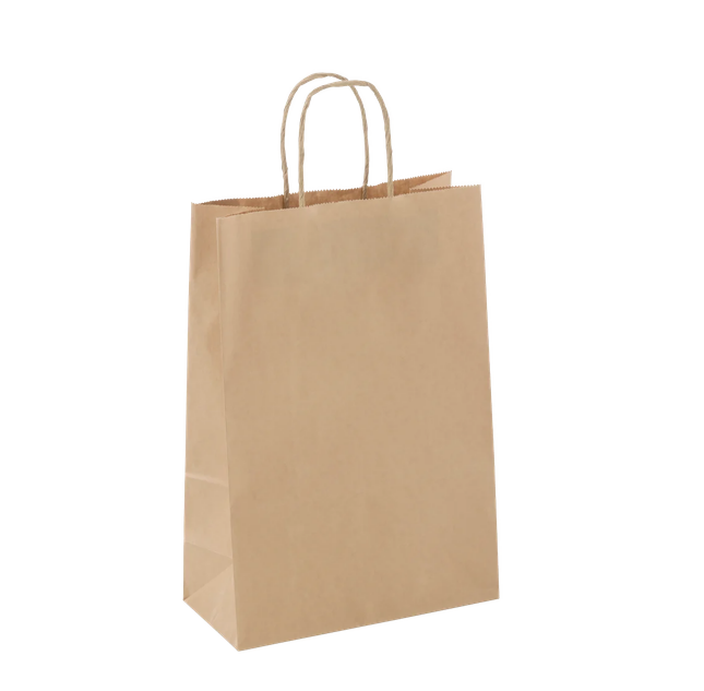 A plain brown kraft paper shopping bag with twisted paper handles, shown on a clean white background.