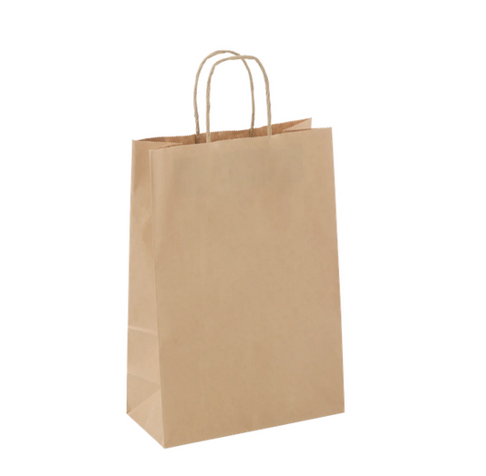 A plain brown kraft paper shopping bag with twisted paper handles, shown on a clean white background.