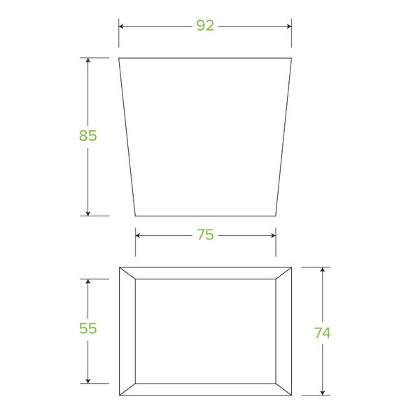 Noodle Box 480ml / 16oz BioBoard (50)